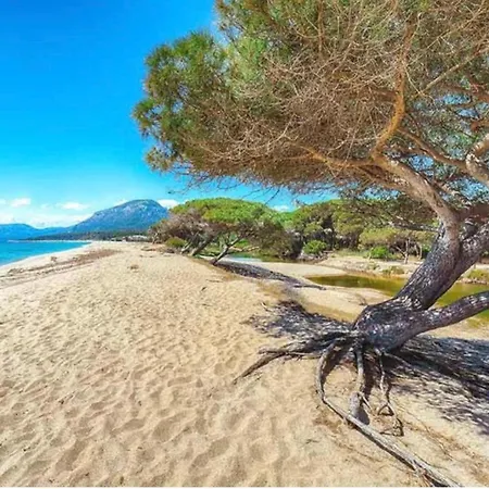 Casa Su Barone 2 בית נופש