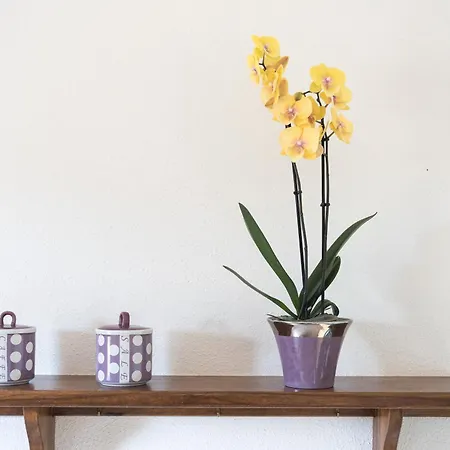 Vakantiehuis Casa Su Barone 2 *